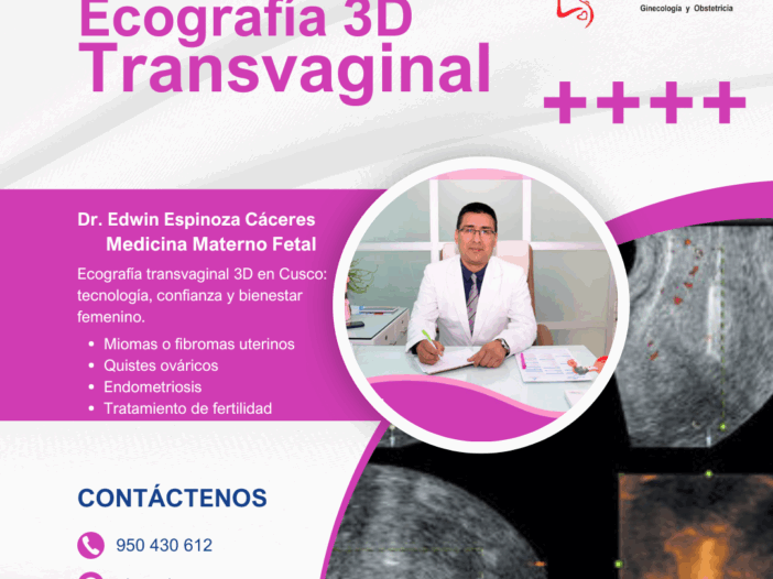 ecografia transvaginal 3d en cusco con el mejor ginecologo de la ciudad